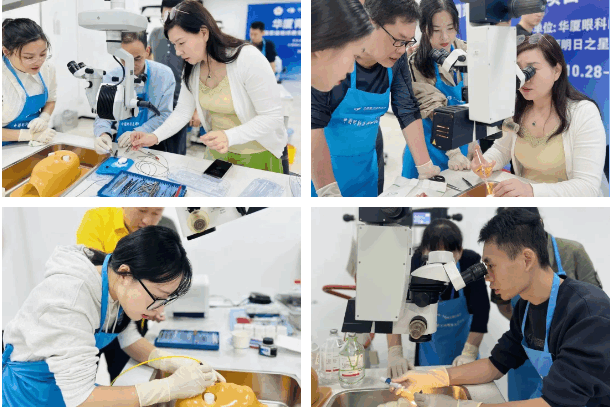 青光眼學(xué)習班